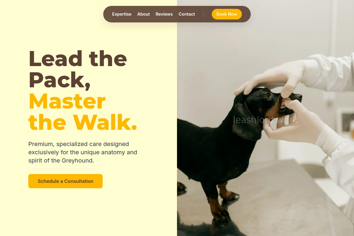 Greyhound Animal Care