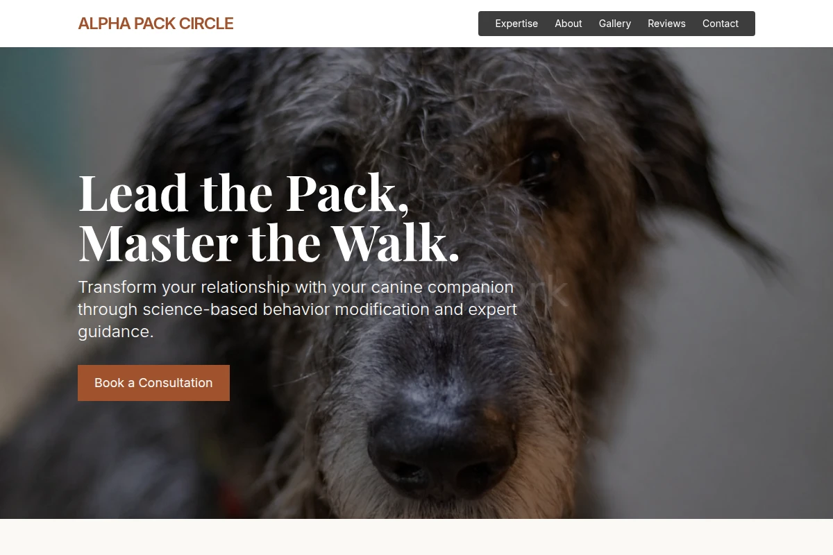 Park Dog Behavior