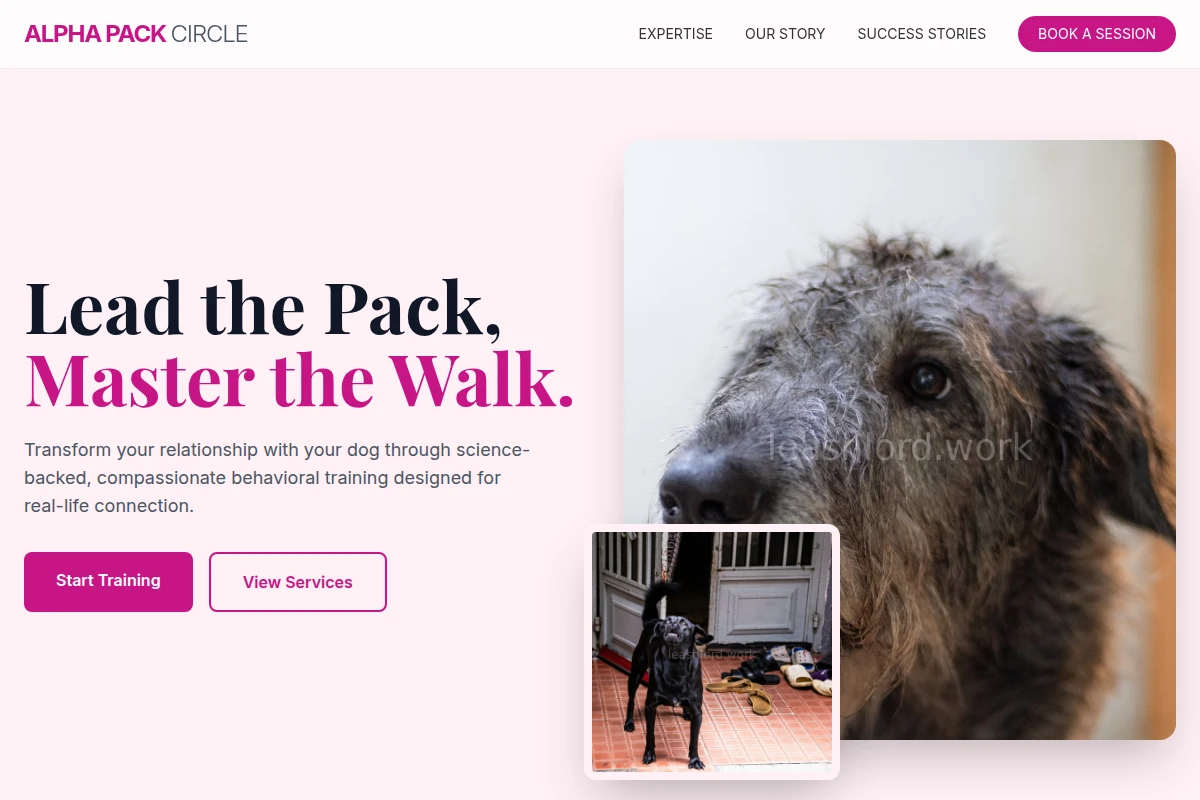 Clicker Dog Behavior