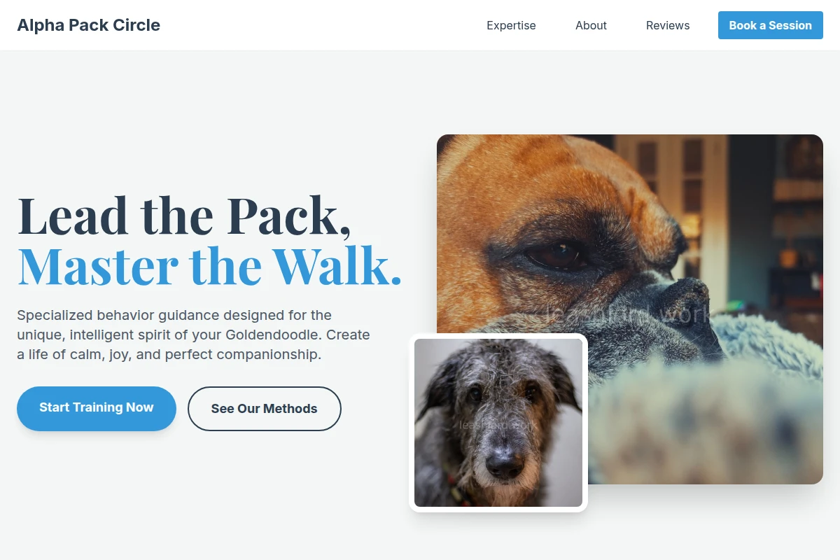 Goldendoodle Dog Behavior