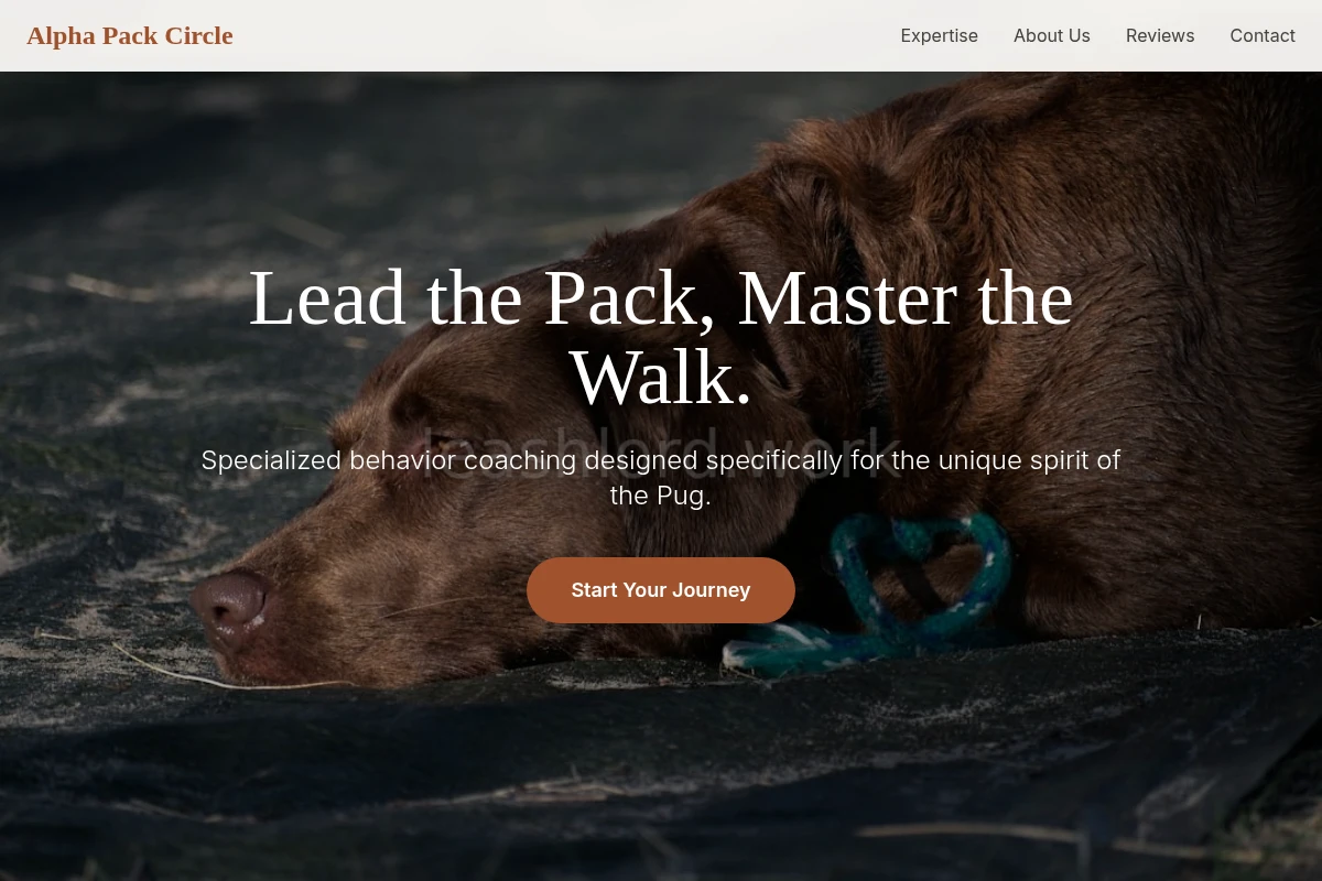 Pug Dog Behavior