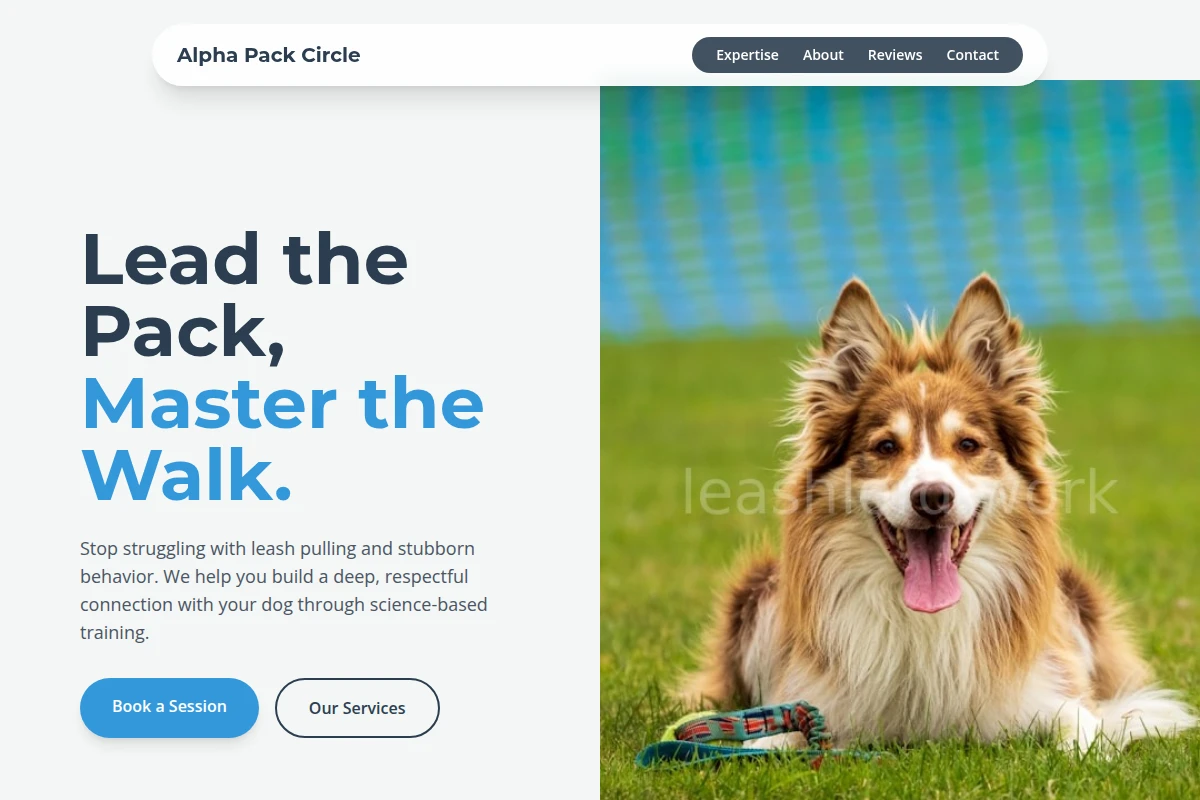 Canine Dog Training