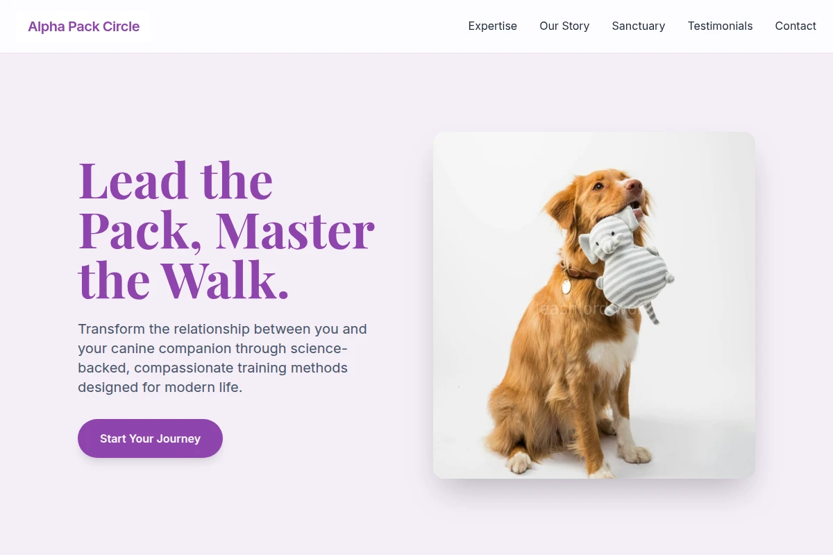 Collar Dog Training
