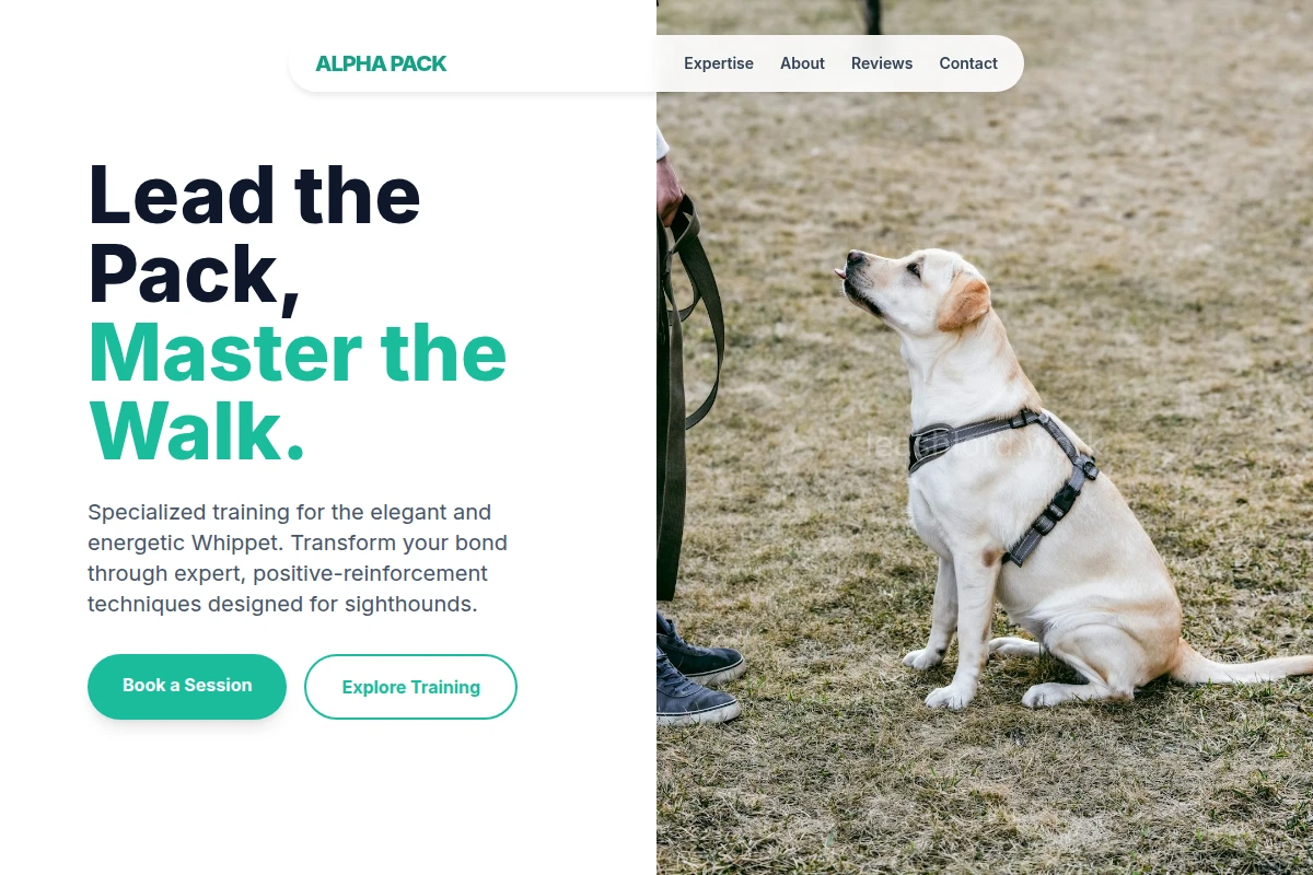 Whippet Dog Training