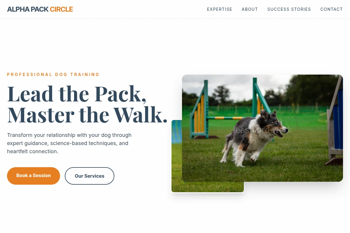 Setter Dog Training