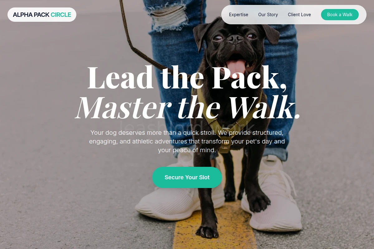 Stay Dog Walking