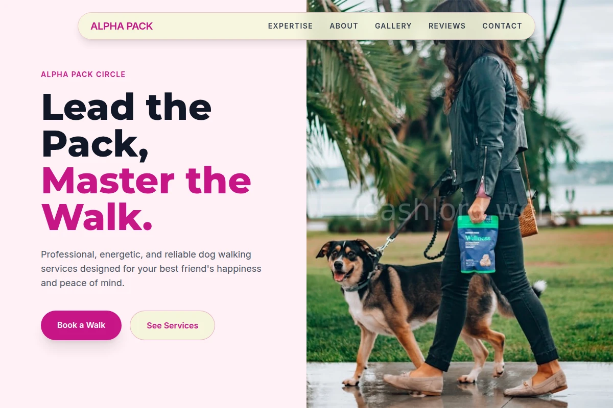 Fetch Dog Walking