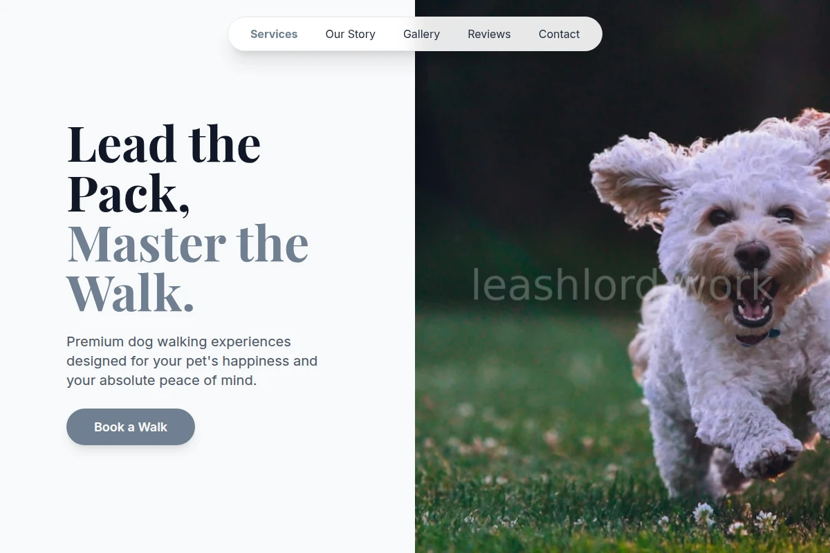 Paw Dog Walking