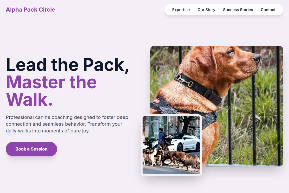 K9 Pet Services